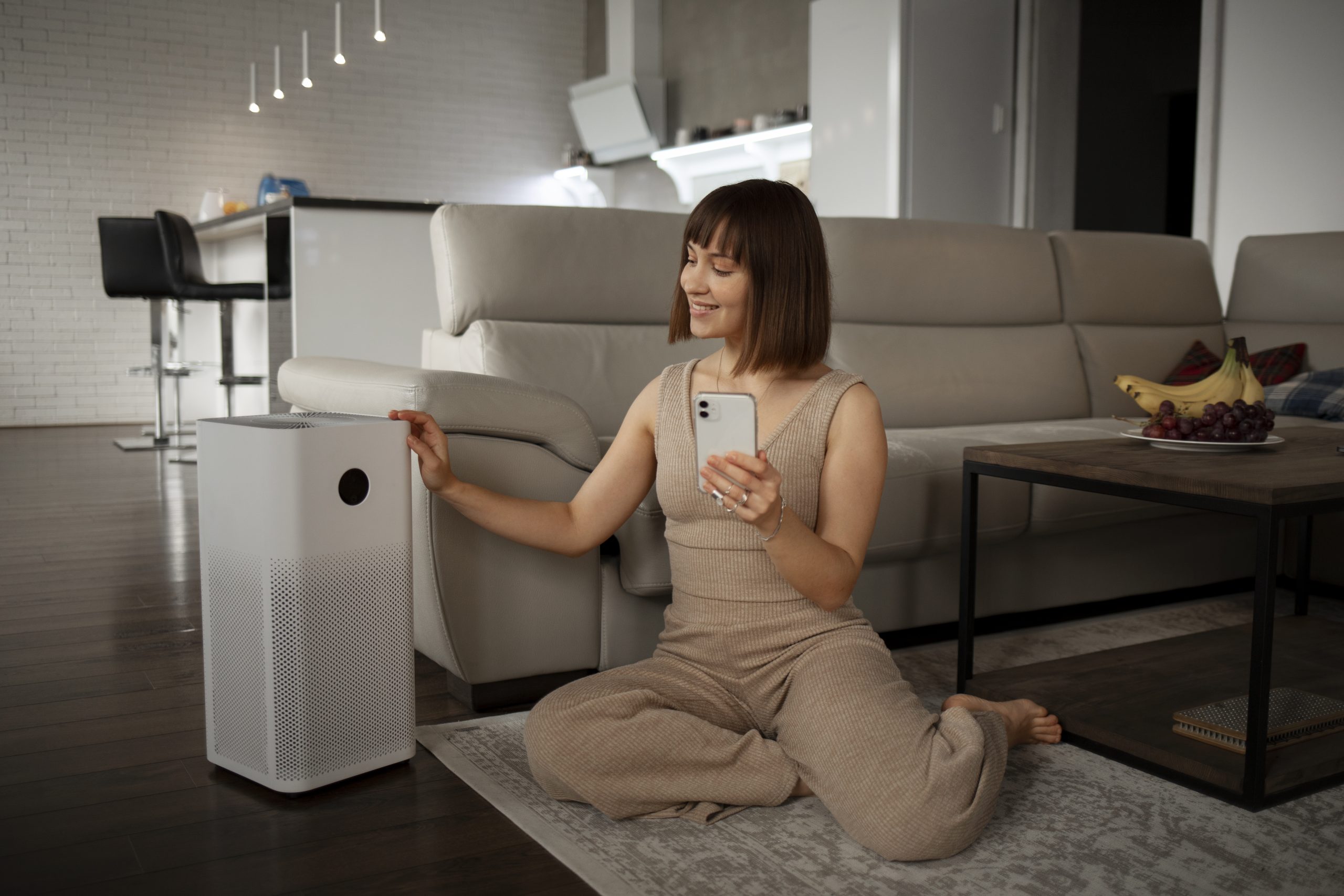 Formaldehyde Air Purifier